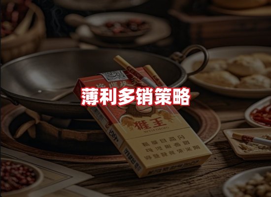 专业团队